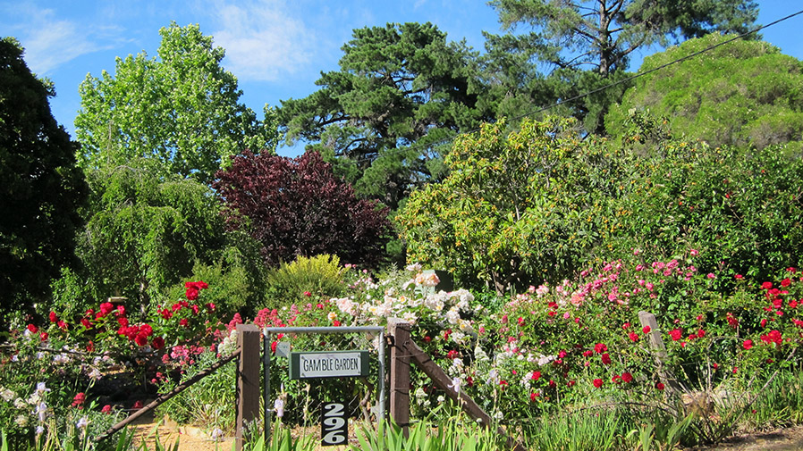 Gamble Cottage